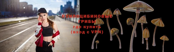 СК Абинск