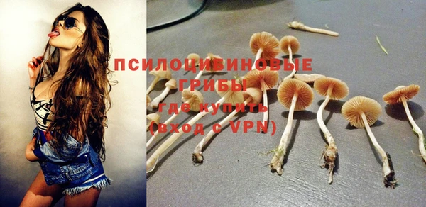 СК Абинск